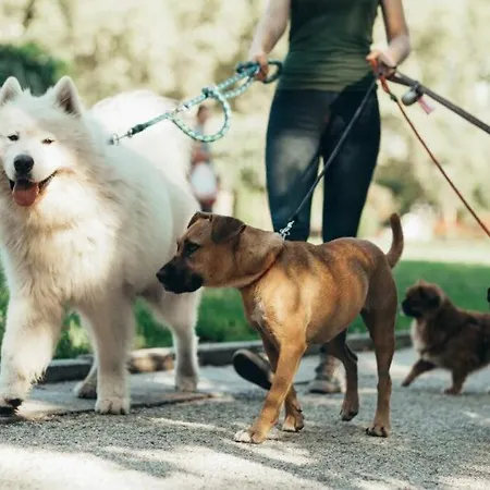 Il Poggio Сasa de vacaciones Villagrande Strisaili