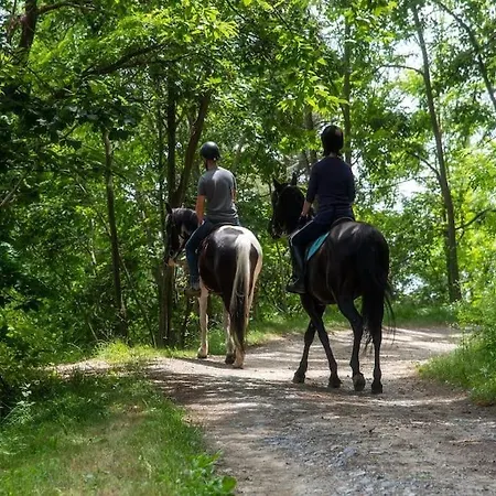 Il Poggio Hébergement de vacances *